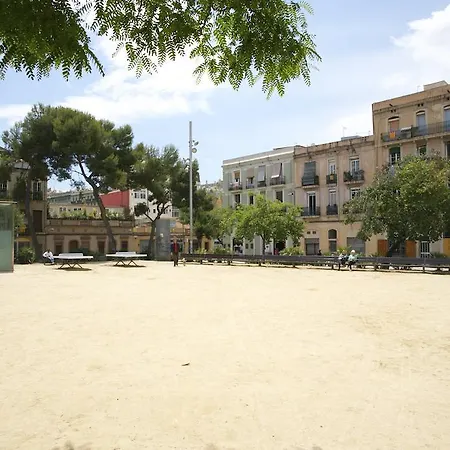Gracia Group Barcelona